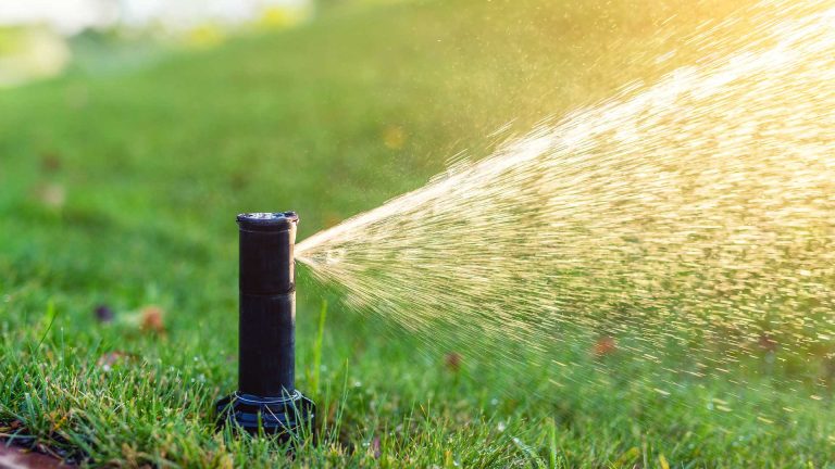 Sprinkler watering a lawn